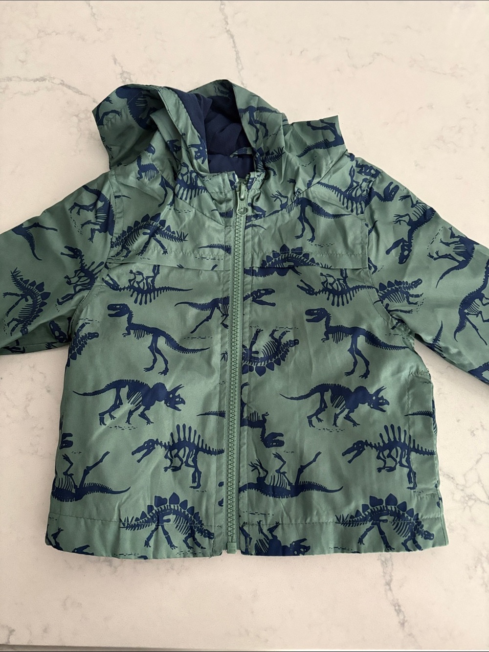 Kids Green Dinosaur Print Hooded Jacket